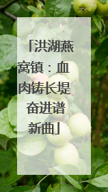 洪湖燕窝镇：血肉铸长堤 奋进谱新曲