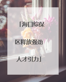海口综保区释放强劲人才引力
