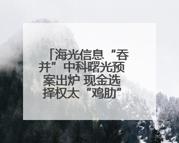 海光信息“吞并”中科曙光预案出炉 现金选择权太“鸡肋”？业内人士：企业不想大量现金流出