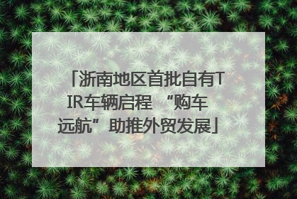 浙南地区首批自有TIR车辆启程 “购车远航”助推外贸发展