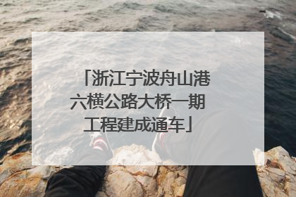 浙江宁波舟山港六横公路大桥一期工程建成通车
