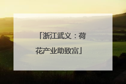 浙江武义：荷花产业助致富