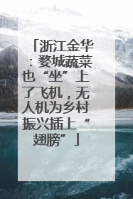 浙江金华：婺城蔬菜也“坐”上了飞机，无人机为乡村振兴插上“翅膀”