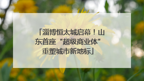 淄博恒太城启幕！山东首座“超级商业体”重塑城市新地标