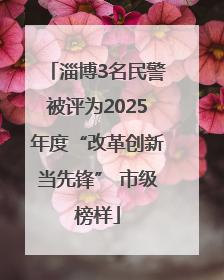淄博3名民警被评为2025年度“改革创新当先锋” 市级榜样