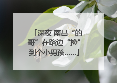 深夜 南昌“的哥”在路边“捡”到个小男孩……