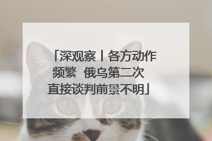 深观察丨各方动作频繁  俄乌第二次直接谈判前景不明