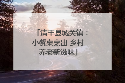 清丰县城关镇：小餐桌烹出 乡村养老新滋味