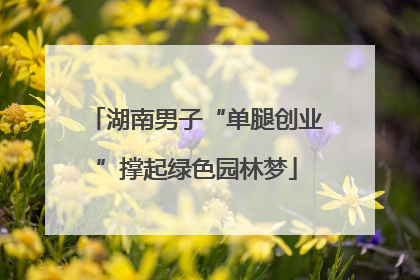 湖南男子“单腿创业”撑起绿色园林梦