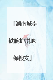 湖南城步铁腕护耕地保粮安
