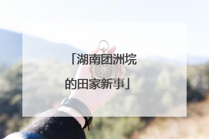 湖南团洲垸的田家新事