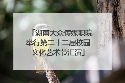 湖南大众传媒职院举行第二十二届校园文化艺术节汇演