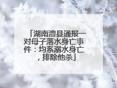 湖南澧县通报一对母子落水身亡事件：均系溺水身亡，排除他杀