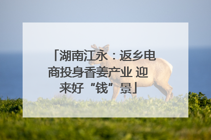 湖南江永：返乡电商投身香姜产业 迎来好“钱”景
