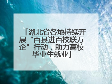 湖北省各地持续开展“百县进百校联万企”行动，助力高校毕业生就业