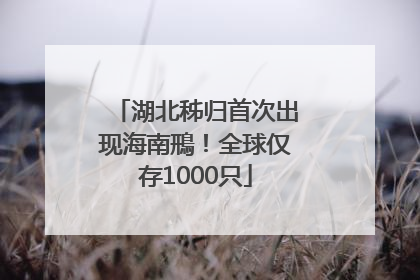 湖北秭归首次出现海南鳽！全球仅存1000只