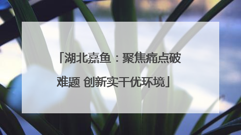 湖北嘉鱼：聚焦痛点破难题 创新实干优环境