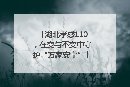 湖北孝感110，在变与不变中守护“万家安宁”
