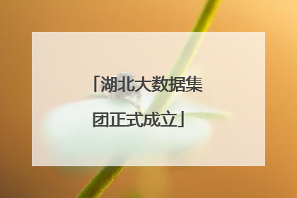 湖北大数据集团正式成立