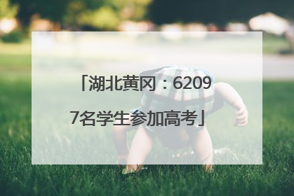 湖北黄冈：62097名学生参加高考