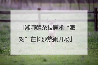 湘鄂赣杂技魔术“派对”在长沙热闹开场