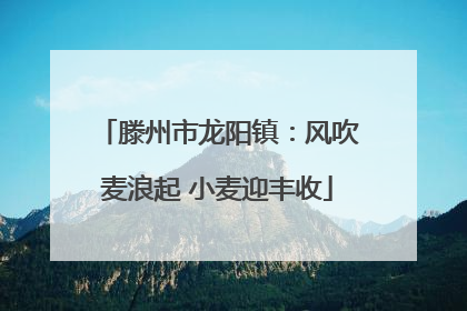 滕州市龙阳镇：风吹麦浪起 小麦迎丰收