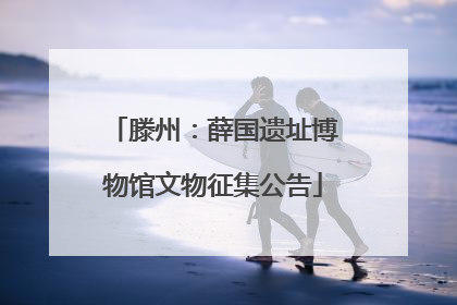 滕州：薛国遗址博物馆文物征集公告