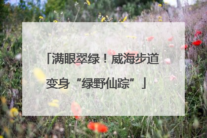 满眼翠绿！威海步道变身“绿野仙踪”