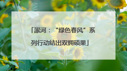 漯河：“绿色春风”系列行动结出双拥硕果