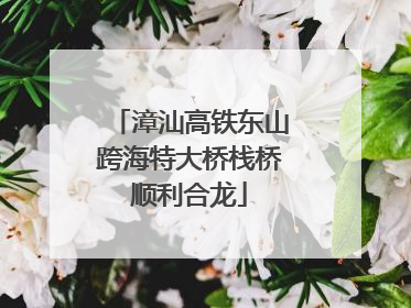 漳汕高铁东山跨海特大桥栈桥顺利合龙