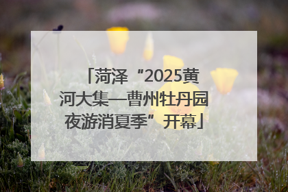 菏泽“2025黄河大集—曹州牡丹园夜游消夏季”开幕