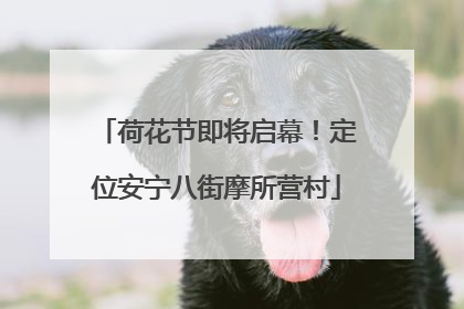 荷花节即将启幕！定位安宁八街摩所营村