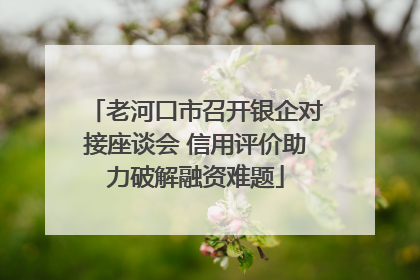 老河口市召开银企对接座谈会 信用评价助力破解融资难题