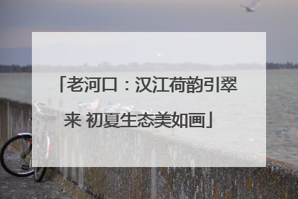 老河口：汉江荷韵引翠来 初夏生态美如画