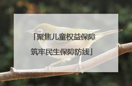 聚焦儿童权益保障 筑牢民生保障防线