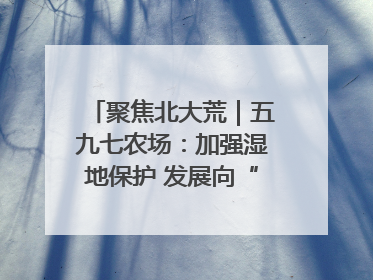 聚焦北大荒｜五九七农场：加强湿地保护 发展向“绿”而行