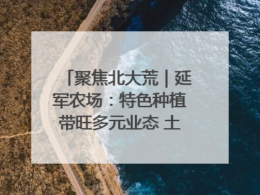 聚焦北大荒｜延军农场：特色种植带旺多元业态 土地焕发新活力