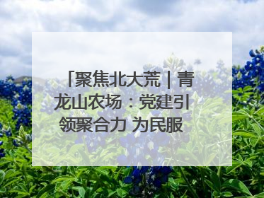 聚焦北大荒｜青龙山农场：党建引领聚合力 为民服务践初心