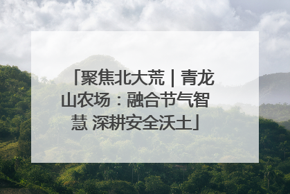 聚焦北大荒｜青龙山农场：融合节气智慧 深耕安全沃土