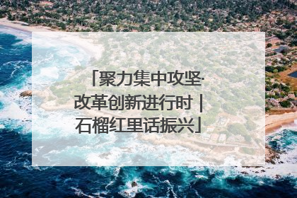聚力集中攻坚·改革创新进行时｜石榴红里话振兴