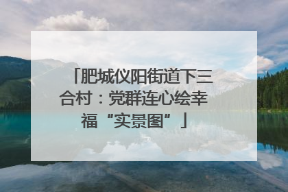 肥城仪阳街道下三合村：党群连心绘幸福“实景图”