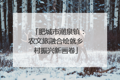 肥城市潮泉镇：农文旅融合绘就乡村振兴新画卷