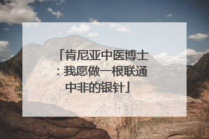 肯尼亚中医博士：我愿做一根联通中非的银针