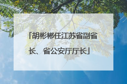 胡彬郴任江苏省副省长、省公安厅厅长