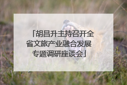 胡昌升主持召开全省文旅产业融合发展专题调研座谈会