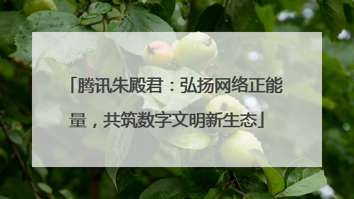 腾讯朱殿君：弘扬网络正能量，共筑数字文明新生态