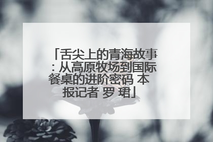 舌尖上的青海故事：从高原牧场到国际餐桌的进阶密码 本报记者 罗 珺