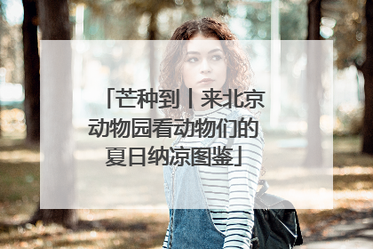 芒种到丨来北京动物园看动物们的夏日纳凉图鉴