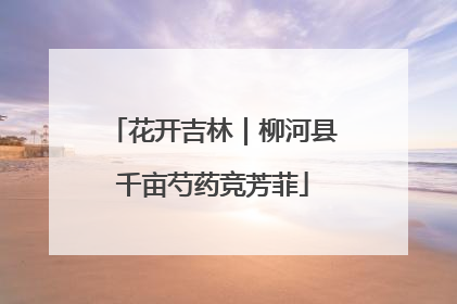花开吉林｜柳河县千亩芍药竞芳菲