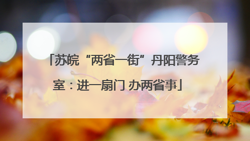 苏皖“两省一街”丹阳警务室：进一扇门 办两省事